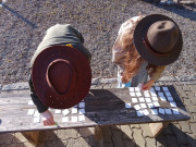 IMG-20250224-WA0005