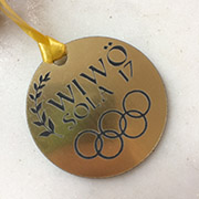 Mehr über den Artikel erfahren WiWö-SoLa bei den Olympischen Spielen