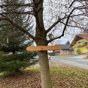Mehr über den Artikel erfahren Der Weg zum Glück